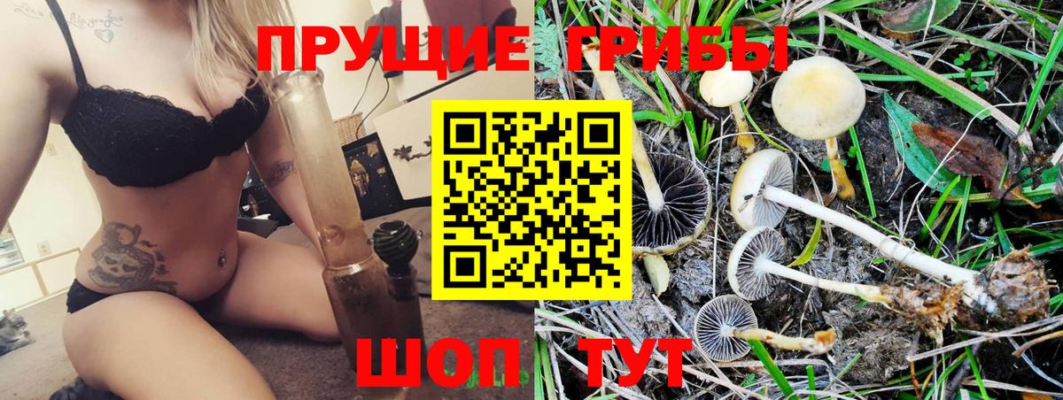 Псилоцибиновые грибы Cubensis Кумертау